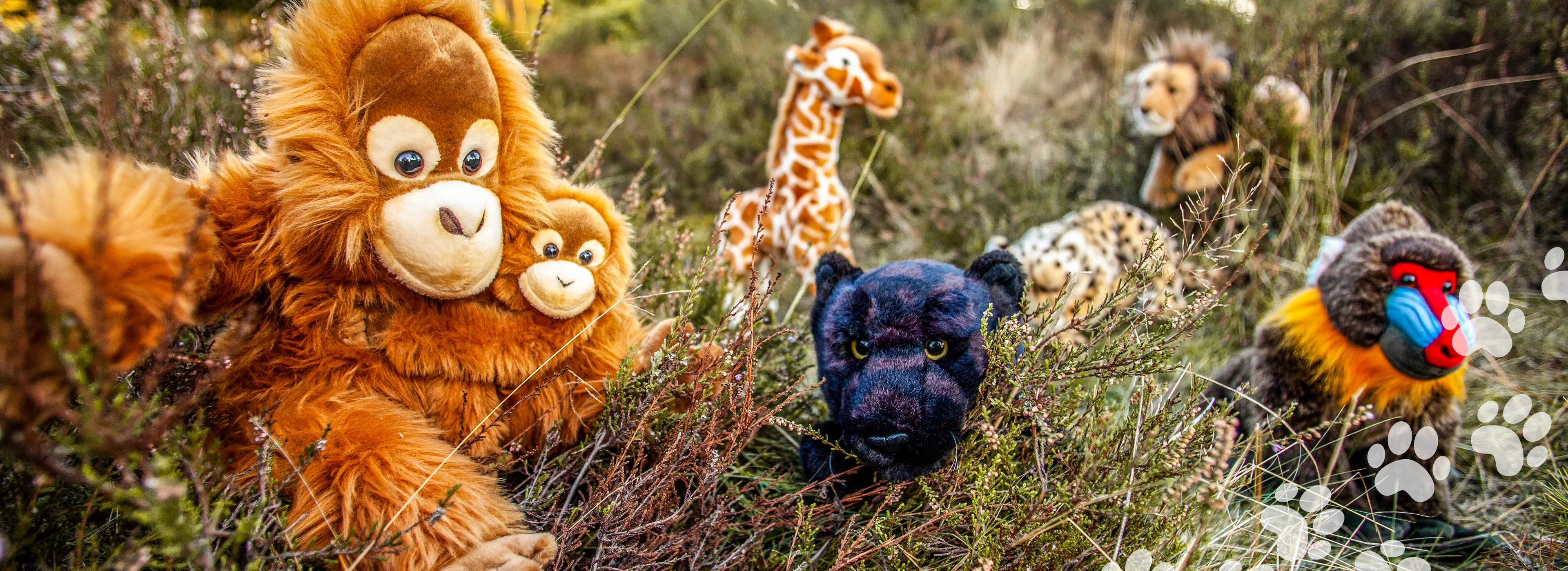 Exotische-Wildtiere-Originalgr_e-pdgmcrxwse761vt