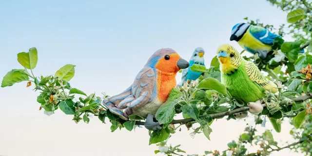 FOTOBONN_DSC07548-mez6z6mf13jx7fb