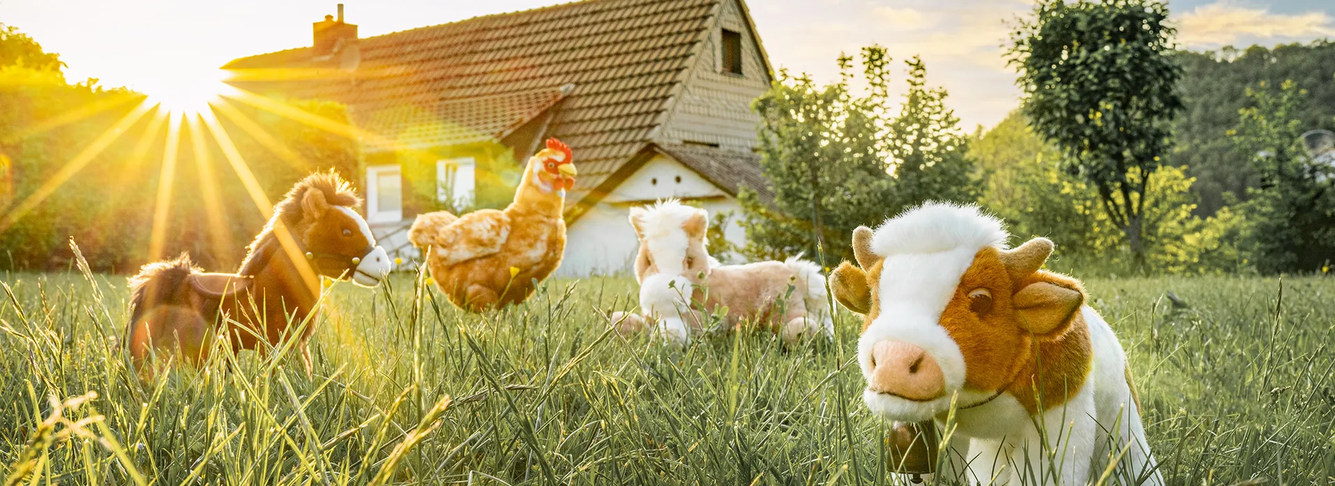 FOTOBONN_DSC07569-vnwqqzm4vkkkjba