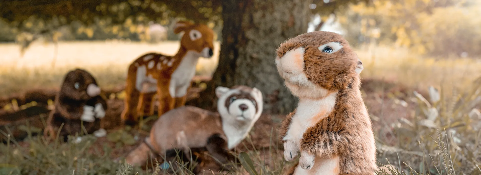 FOTOBONN_DSC07595-xvx7hkbcydfvy90