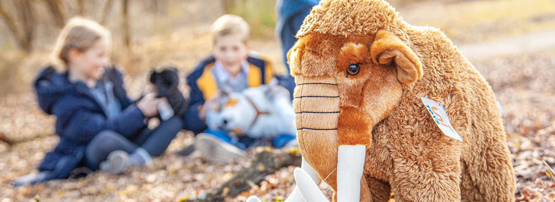 FOTOBONN_IMG_4019-3dv34nemnckh7z8_1